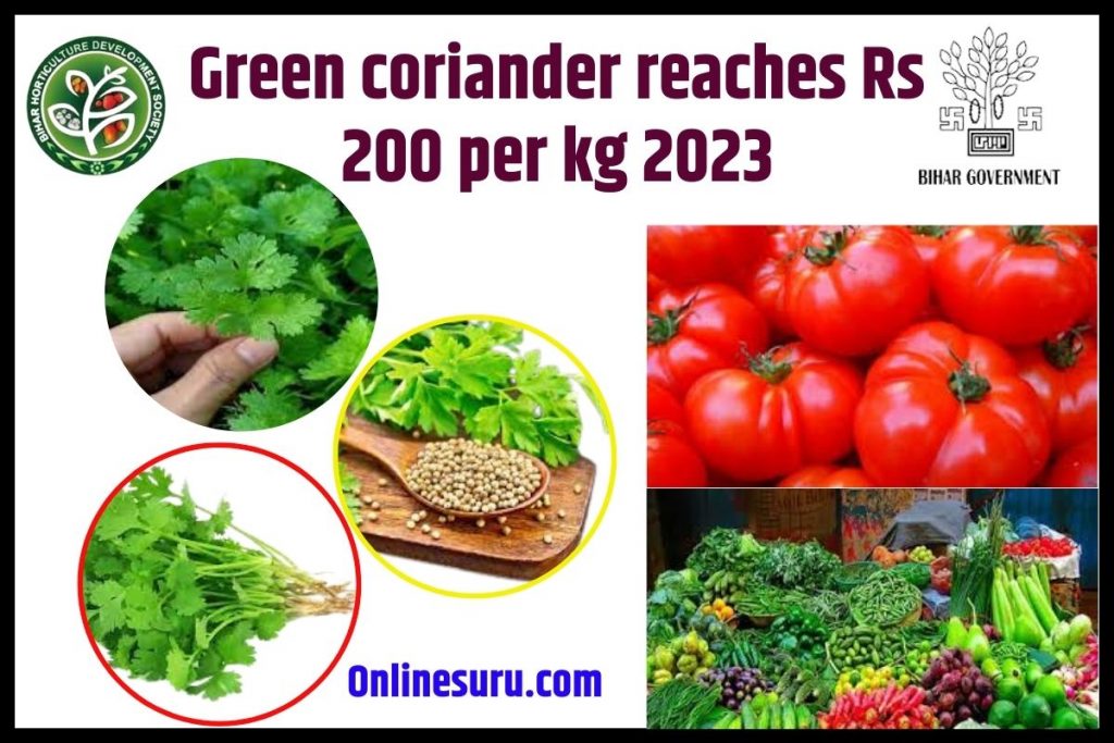 Green coriander reaches Rs 200 per kg