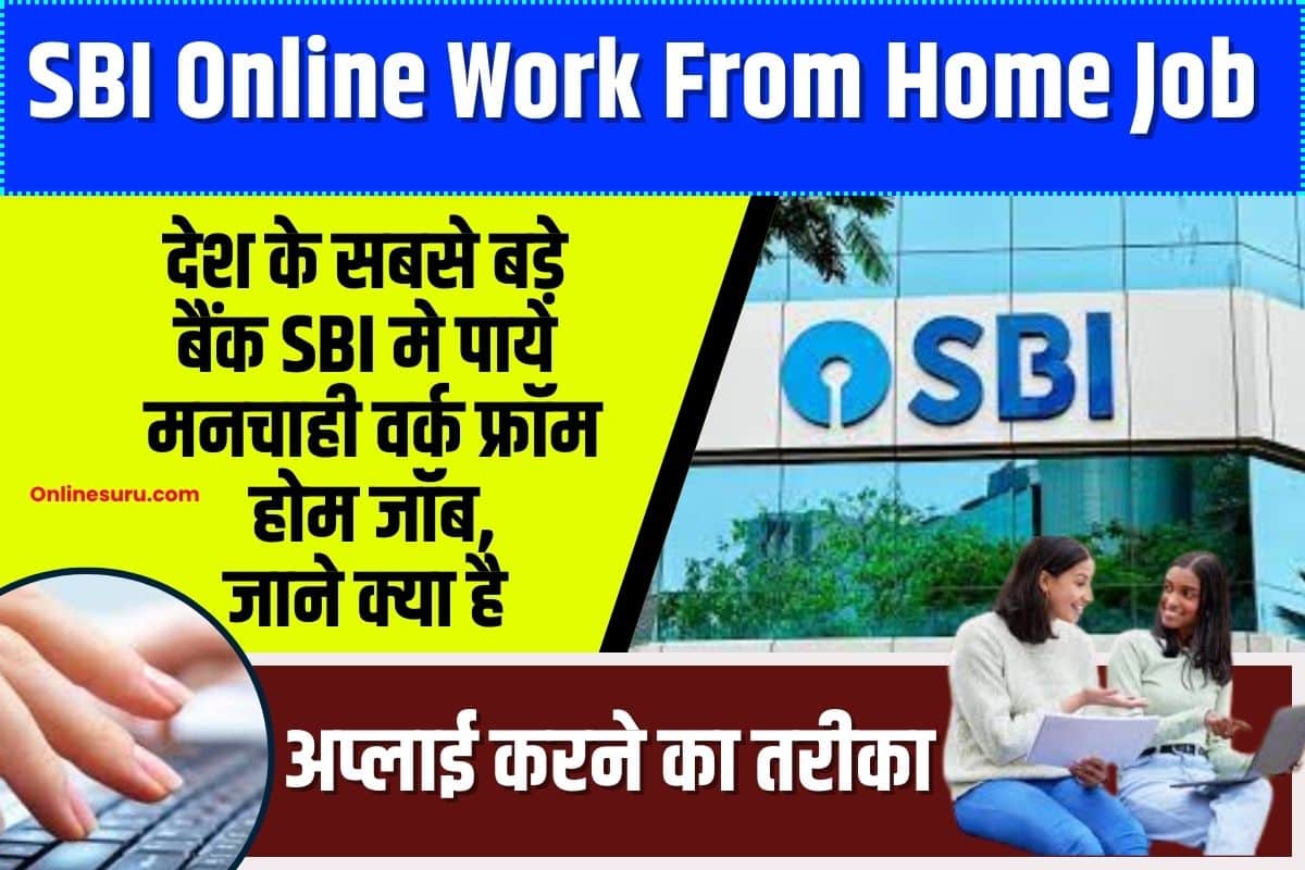 SBI Online Work From Home Job 