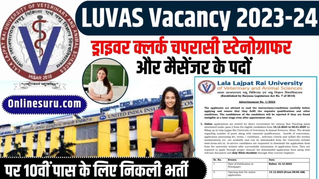 LUVAS Vacancy