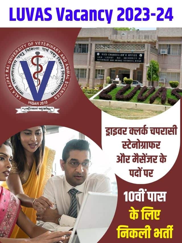 LUVAS Vacancy 2023-24: एलयूवीएएस में ड्राइवर क्लर्क चपरासी स्टेनोग्राफर और मैसेंजर के पदों पर 10वीं पास के लिए निकली भर्ती