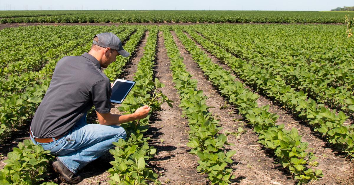 Career in Agriculture After 10th