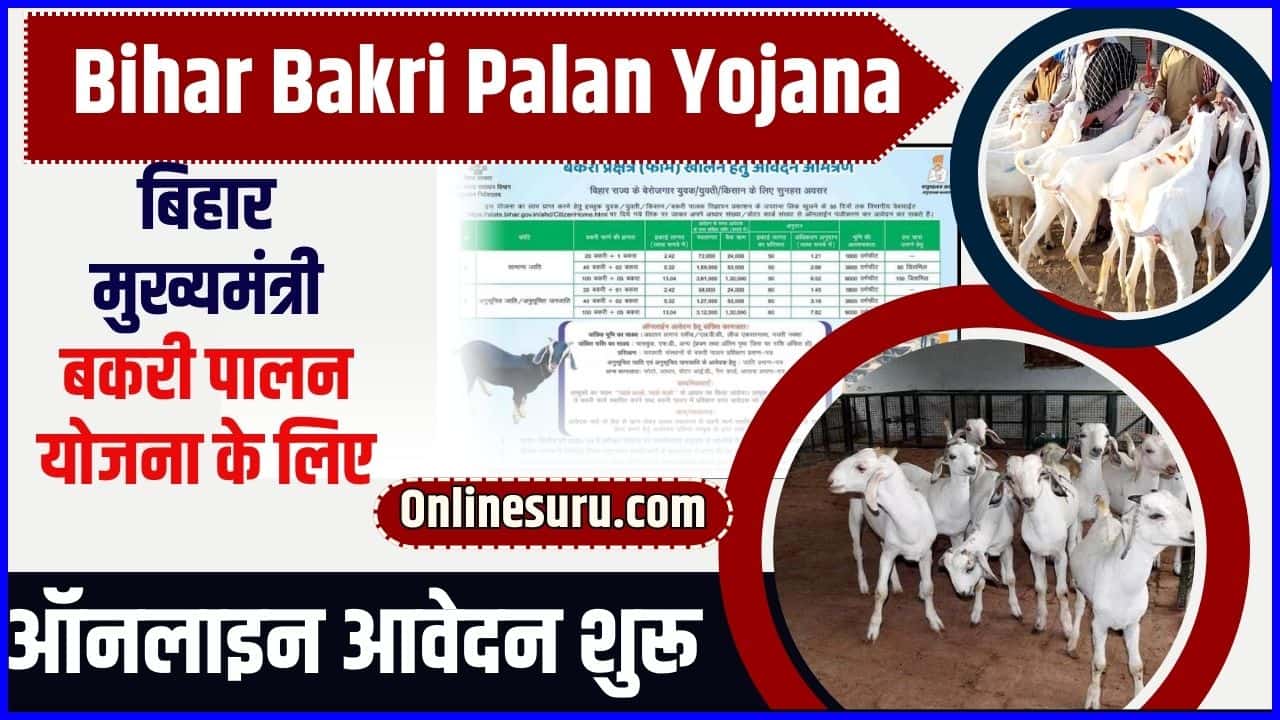 Bihar Bakri Palan Yojana