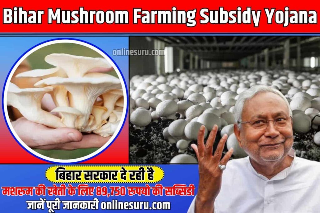 Bihar Mushroom Farming Subsidy Yojana